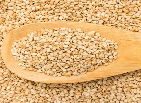 تصویر 4 از قیمت خرید کنجد سفید ایرانی عمده به صرفه و ارزان